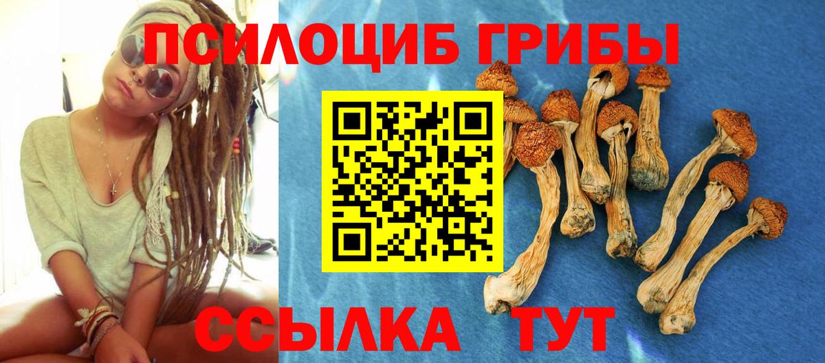 Галлюциногенные грибы Psilocybine cubensis  где можно купить   Сочи  Вход с VPN 