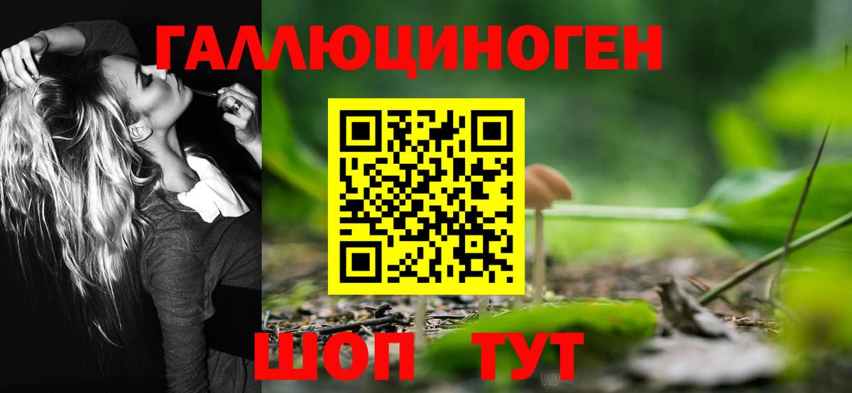 Галлюциногенные грибы прущие грибы Сочи